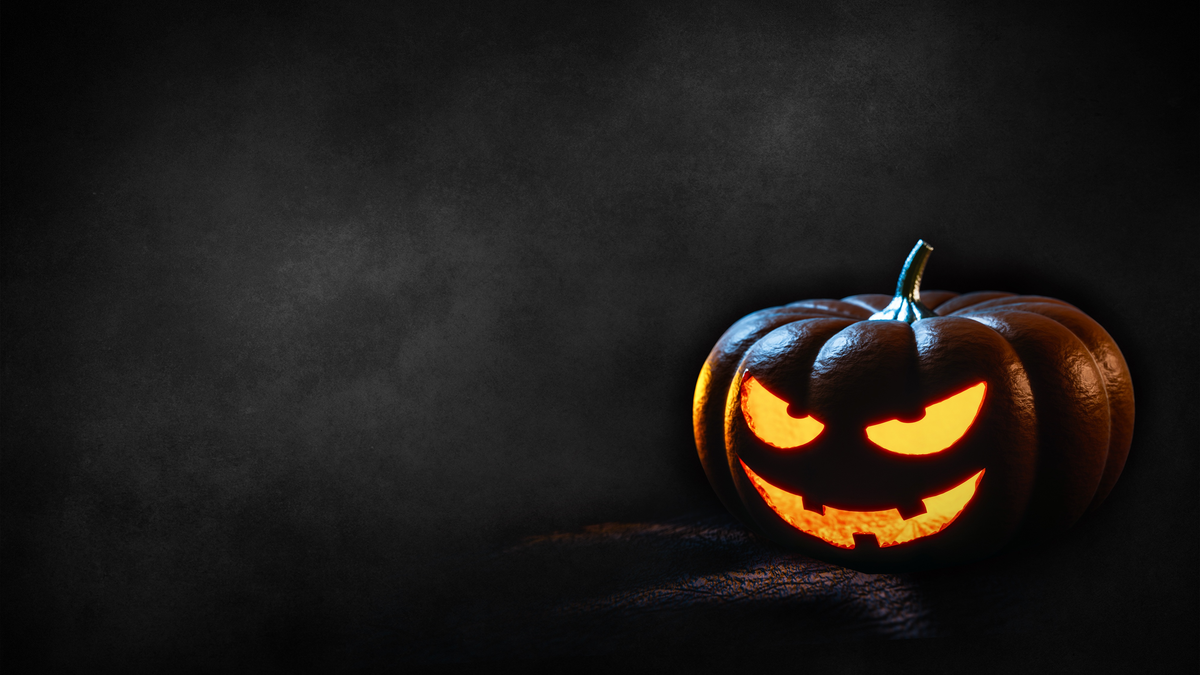 SPOOKY GOINGS-ON AT THE BOOKSHOP